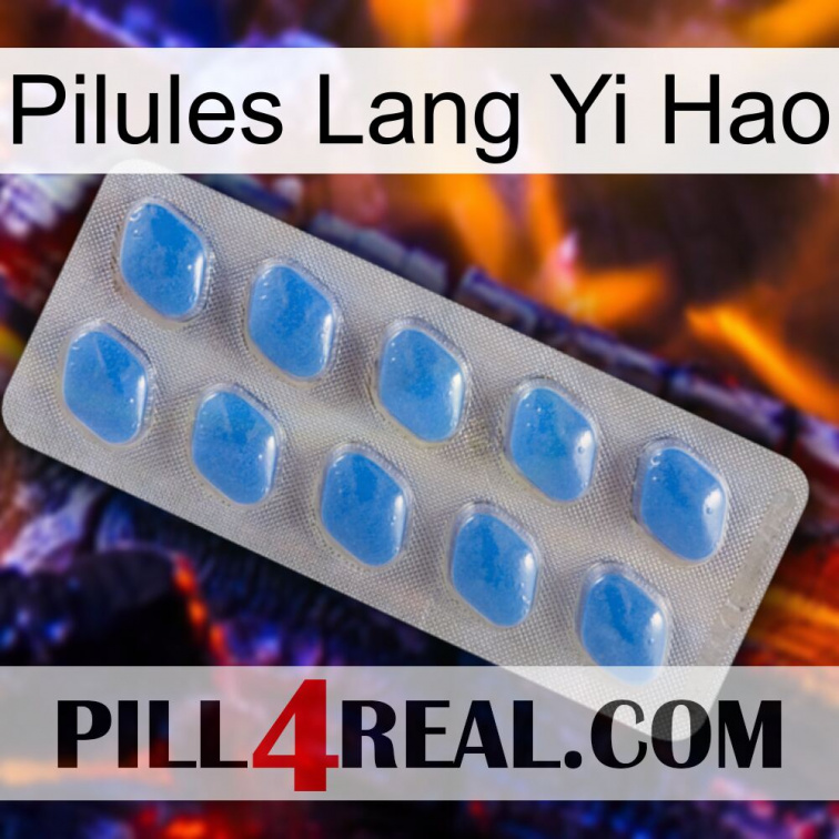 Lang Yi Hao Pills 22